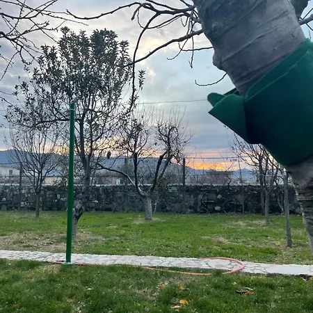 Cozy Shkodër