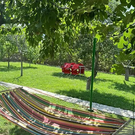 Konukevi Cozy Shkodër